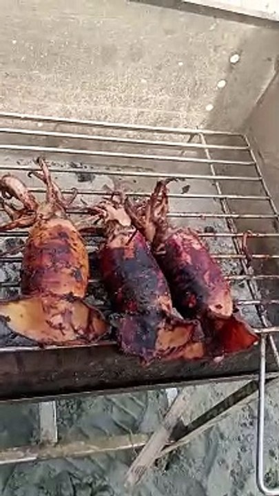 grilled pusit