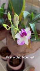 It’s worth waiting