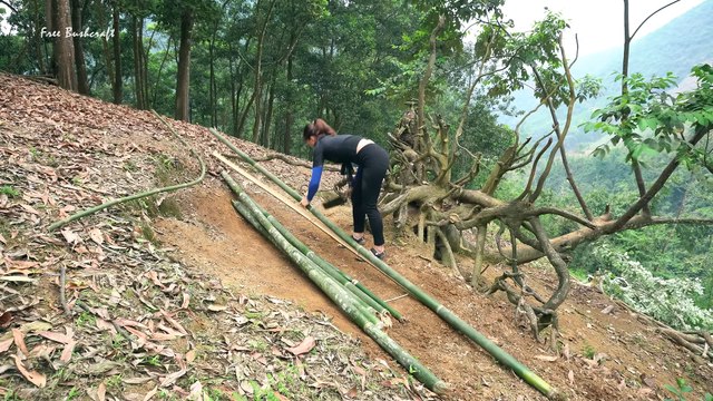 Bushcraft camp under the fallen tree, Alone camping in the forest Free Bushcraft #68