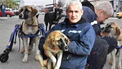 Omurgası kırılan köpeğine 4 tekerlekli yürüteç yaptı