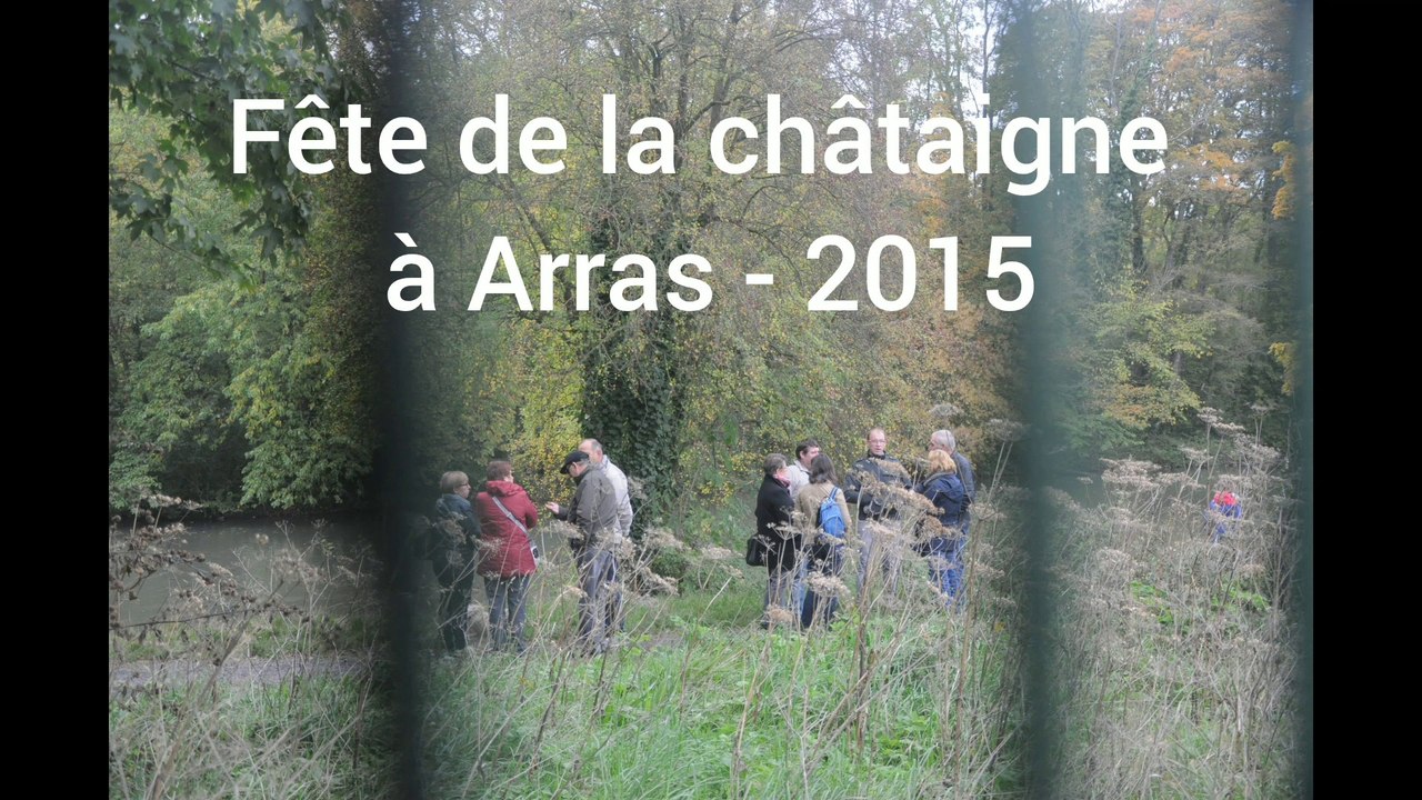 Fête de la châtaigne à Arras - 18/10/2015