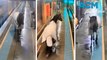 A horse trots into a... train station!