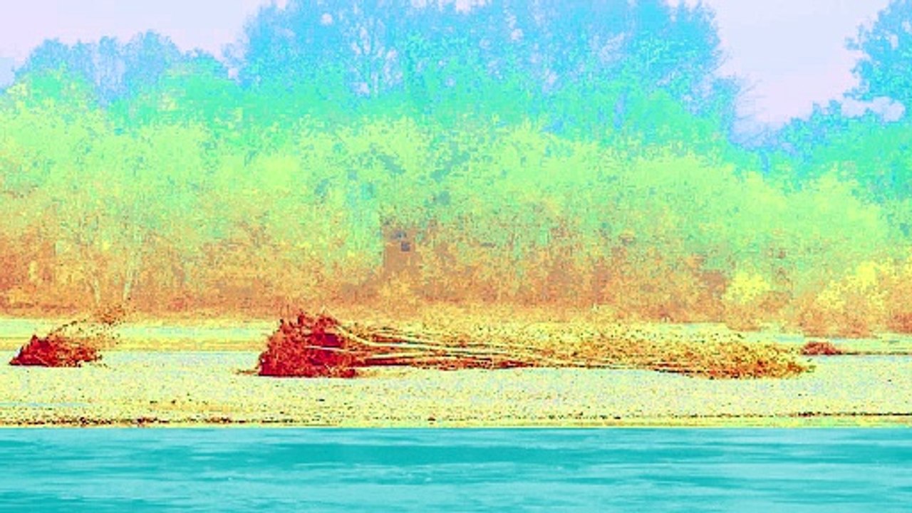 Rivers Lords