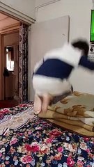 five little monkeys #viral #trending #foryou #reels #beautiful #love #funny #delicious #fun #love #yummy