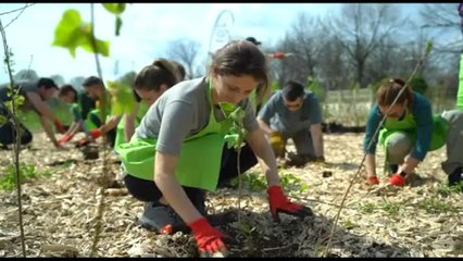 Una nuova foresta a Nova Milanese con Rete Clima e Press Play