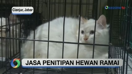 Jasa Penitipan Hewan Kebanjiran Order