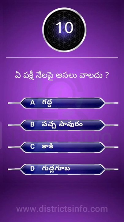 Interesting Questions Telugu