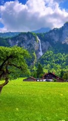 Congo rainforest #science #facts #shorts