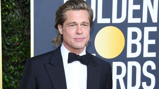Brad Pitt se sent 'heureux à nouveau' avec Ines de Ramon