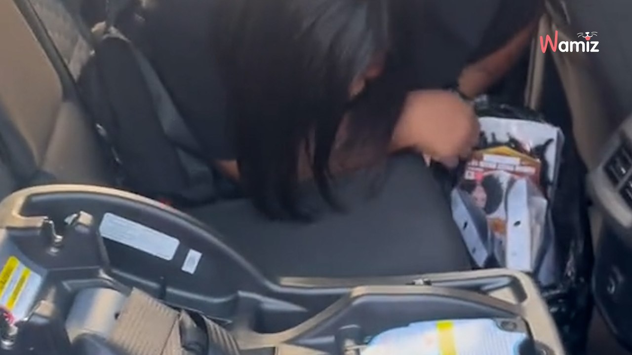 Frau adoptiert einen Welpen: Eine Stunde später sitzt der Schock tief (Video)