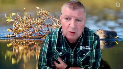 Δασάρχης Καρπενησίου: Άμεση ανάγκη να δοθούν κονδύλια για τον καθαρισμό των δασών