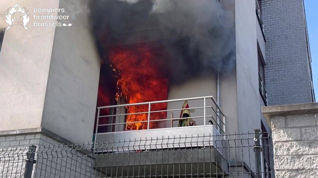 Les pompiers sortent un chien de l'incendie d'un appartement avenue du Sippelberg à Molenbeek
