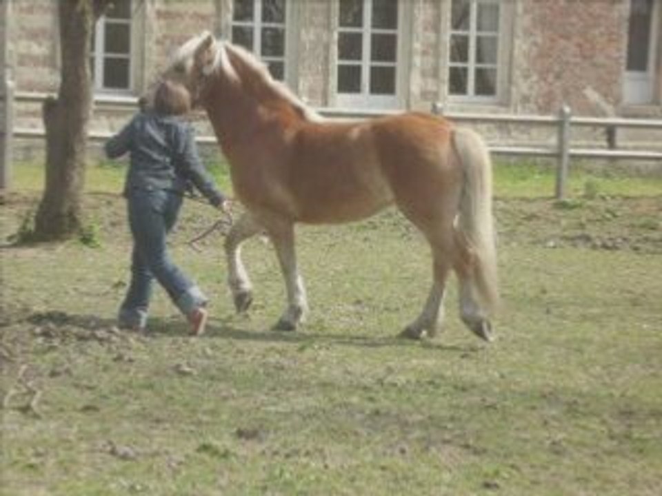 Anne2