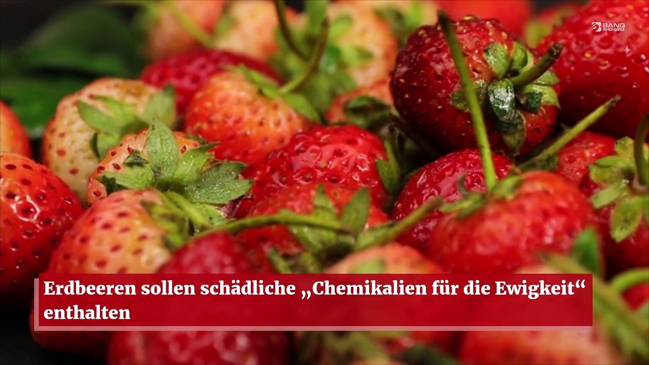 Erdbeeren sollen schädliche „Chemikalien für die Ewigkeit“ enthalten