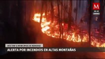 Alertan por incendios en Altas Montañas en Veracruz, afectan a 12 municipios