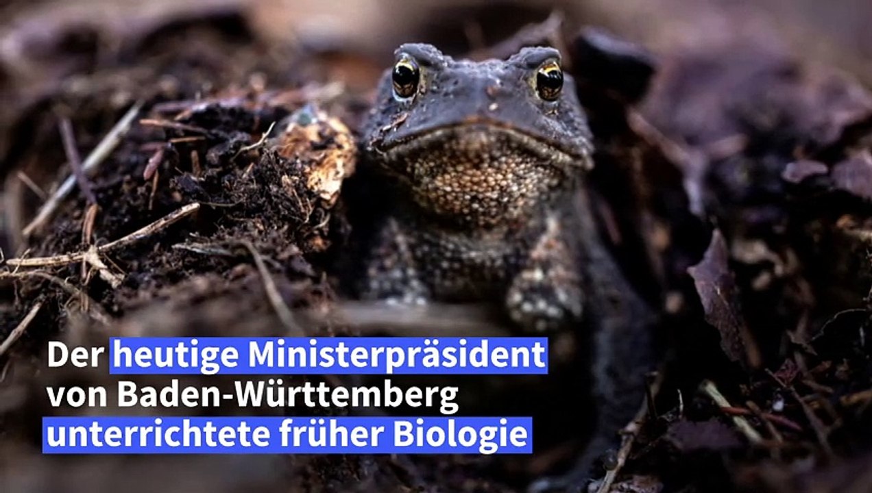 Grünen-Politiker Kretschmann ließ Schüler an Kröten lecken