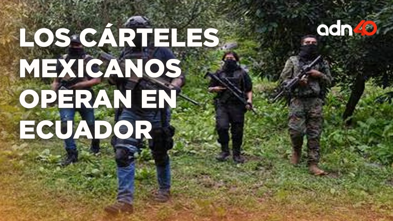 ¿Cómo colaboran lo cárteles mexicanos con los c...