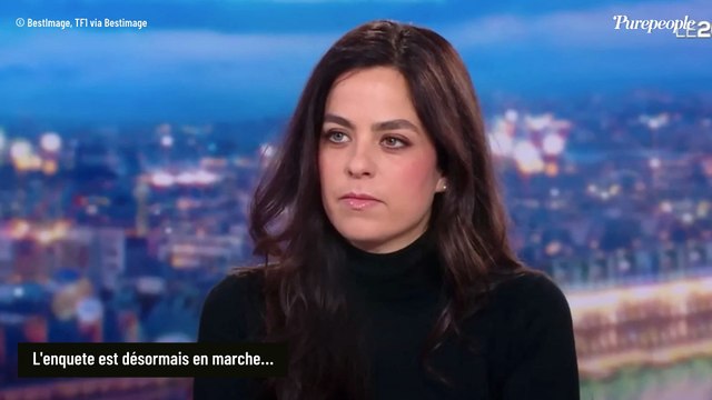 Alain Delon visé par un contrôle fiscal : Anthony Delon mis en cause par l'avocat d'Hiromi Rollin, sa réplique est cinglante