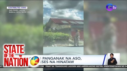 Bagong panganak na aso, ilang beses na hinataw | SONA