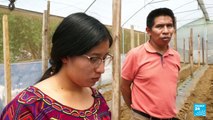 Guatemala: jóvenes agricultores son capacitados como método para mitigar la migración