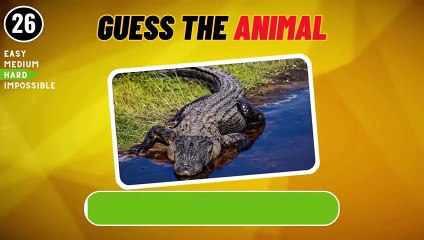 Guess 50 Animals In 3 Seconds (Video 3)