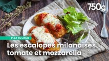Escalopes de poulet panées à la sauce tomate et mozzarella