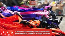 Accesorios para mascotas mayoreo; compra al por mayor a precios competitivos