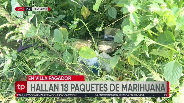 Hallan 18 paquetes con marihuana escondidos en medio de maleza en Cochabamba