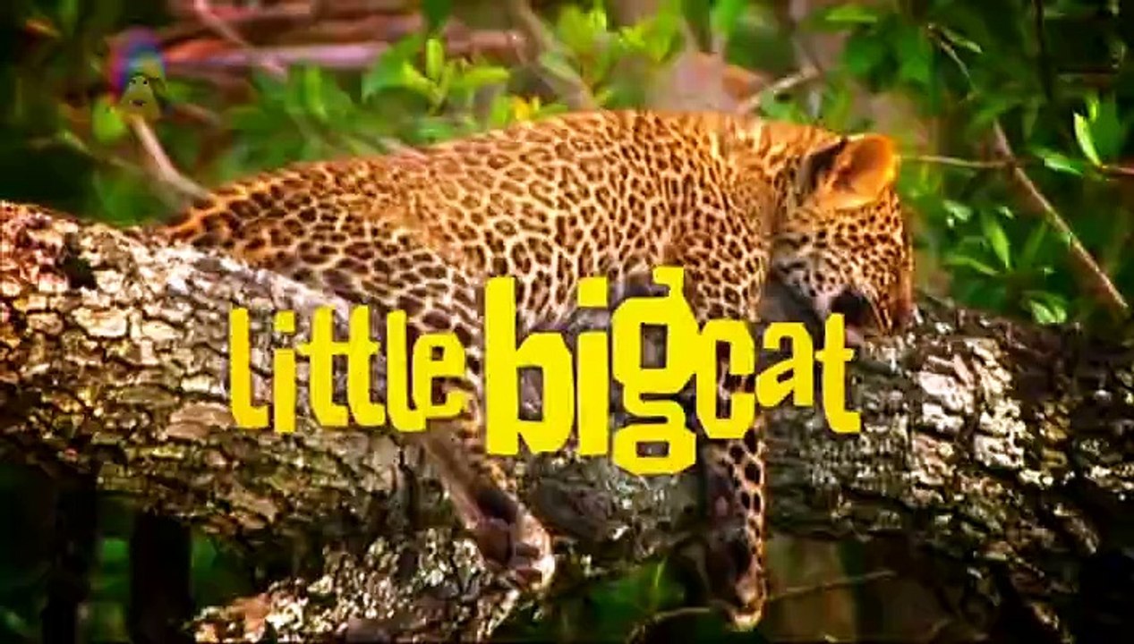 Little Big Cat: Moja and the Wheelyphant - video Dailymotion