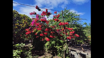 (044) Nicaragua sehenswert Teil 3 | Vulkane, Strand & Kolonialstil - AUSWANDERN nach NICARAGUA