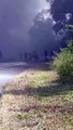 Vídeo mostra homens se arriscando para retirar motorista de caminhão em chamas na BR-376