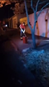Cobra é resgatada pelo Corpo de Bombeiros no Jardim Aeroporto, em Umuarama