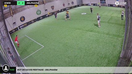But de DAVID PERTHUIS - DELPHARM