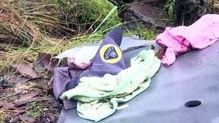 Tony Seymour's Fatal Crash @ Targa Tasmania 2022 (Report)