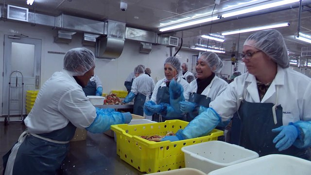 Les travailleurs mexicains arrivés les travailleurs saisonniers attendent toujours