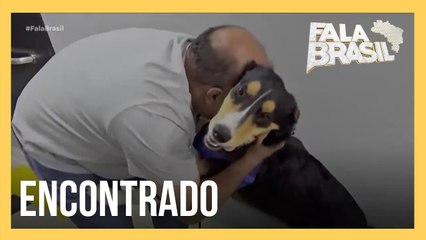 Polícia de SP encontra cachorro que foi furtado de dentro de casa