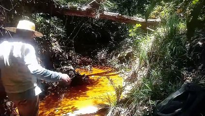 UMA REFLEXÃO SOBRE O SILÊNCIO INTERIOR DA NATUREZA