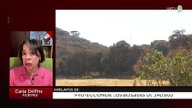 Protección de los bosques de Jalisco | Carla Delfina Aceves