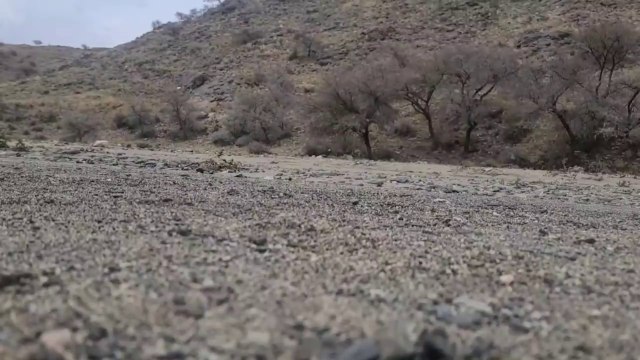 الزير سالم والشنفري فلم كوميدي قصير