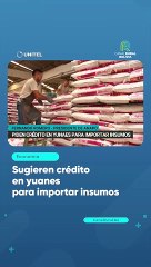 Sugieren crédito en yuanes para importar insumos