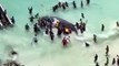 A baby humpback whale was rescued by a team of onlookers after being stranded on the beach