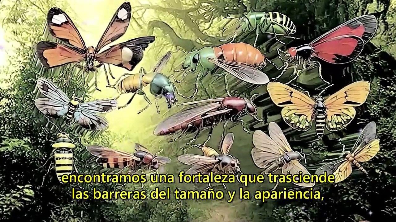 10 ABRIL 2024 | EL MENSAJE DE LOS INSECTOS