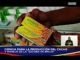Sucre | Más de 8 mil productores cacaoteros serán atendidos con el 