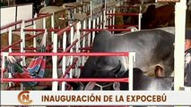 Autoridades Nacionales acompañan la inauguración de la XLVII Feria Nacional del Cebú y sus Cruces