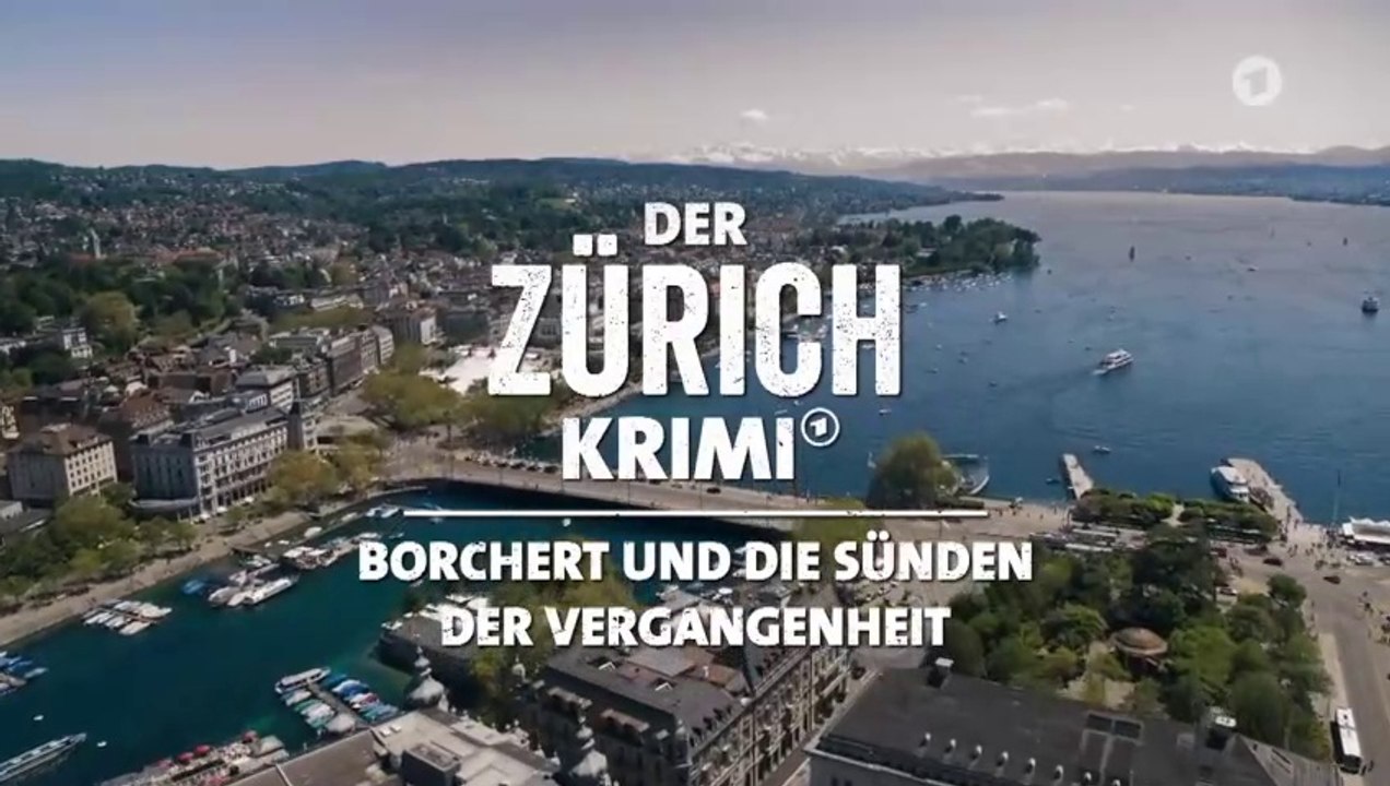 Der Zürich Krimi -17- Borchert und die Sünden der Vergangenheit