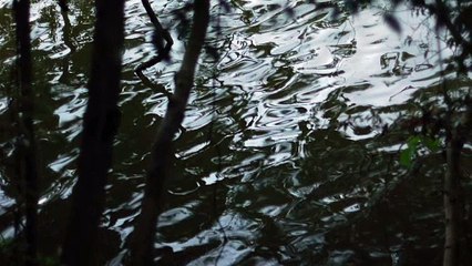 Schumann-Dichterliebe no.16 (piano accompaniment part)