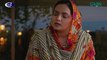 Akhara Episode 25   Feroze Khan   Digitally Powered By Master Paints [ Eng CC ] Green TV