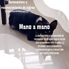 Miguel Mouawad- Mano a mano: