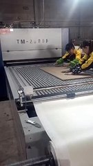 After membrane press machine upgraded to PIN system ZHT-TM2580F