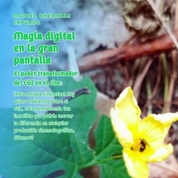 Moises Shemaria Capuano | Magia Digital en el Cine (Parte 1) (Creado por @MoisesShemariaCapuano)